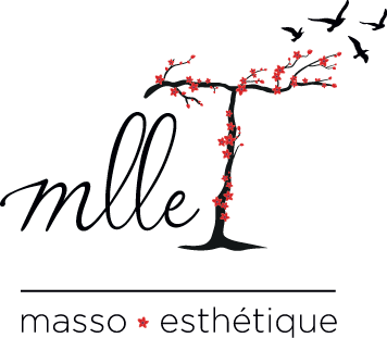 Denis Labrie- Créateur Web