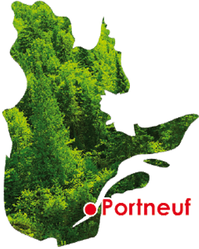 Denis Labrie- Créateur Web