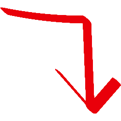 Denis Labrie accordéoniste - ambiance